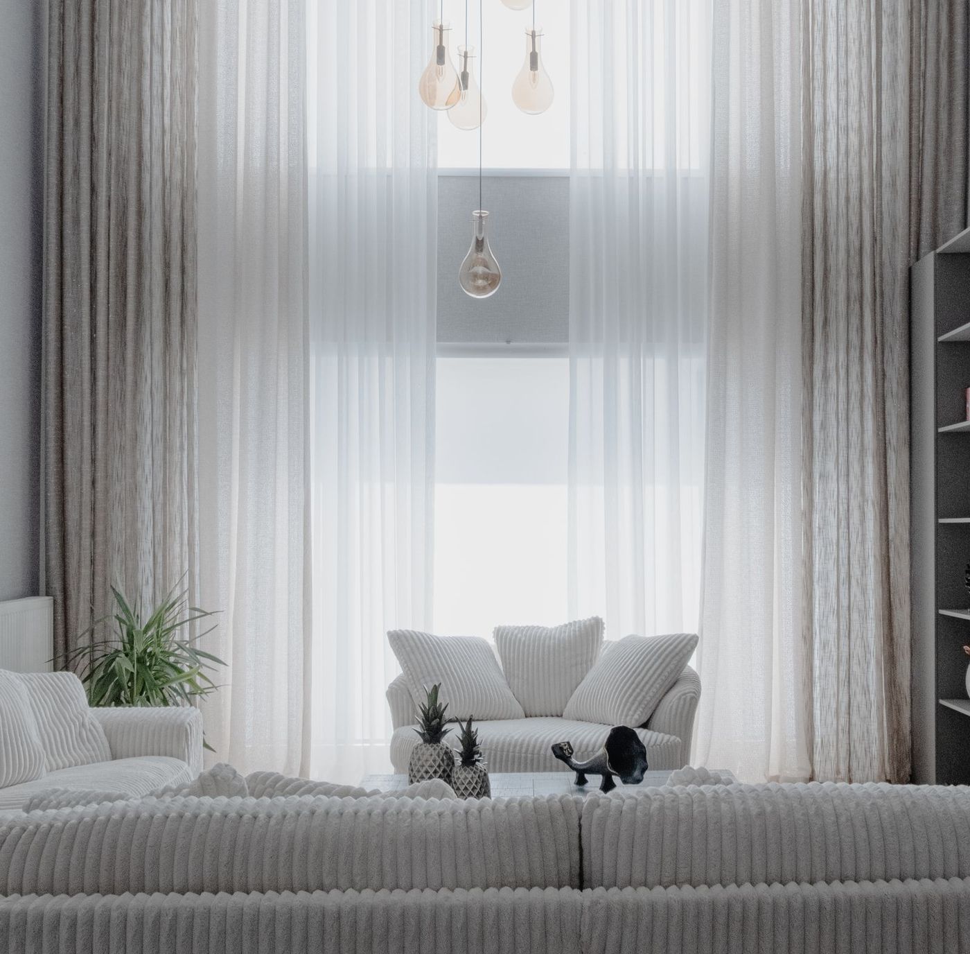 Bright, empty room with sheer curtains ready for move-in day